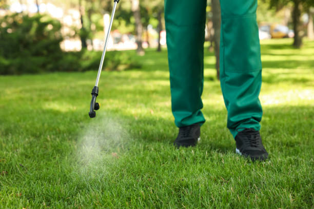 Best Mosquito Control Services  in Leola, PA